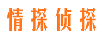 云龙市调查公司